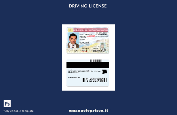 verified style modello di patente di guida dello stato USA del New Mexico in stile verificato template